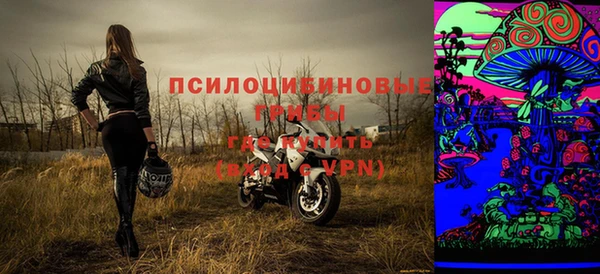 Альфа ПВП Осташков