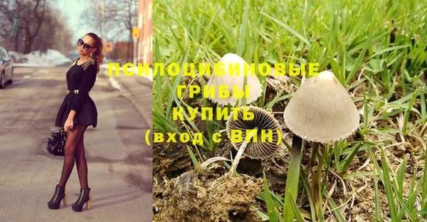 Альфа ПВП Осташков