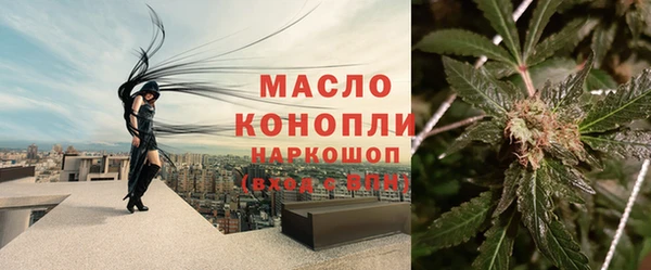 молекула духа Пересвет