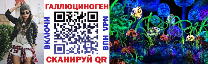 где купить наркоту Новокубанск Псилоцибиновые грибы Psilocybe