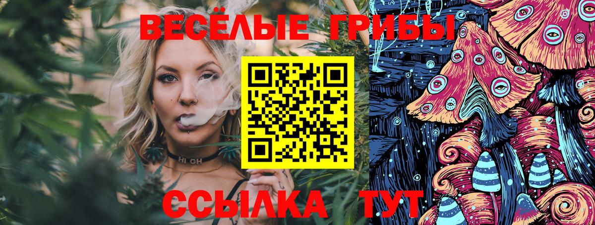 Галлюциногенные грибы мухоморы Новокубанск