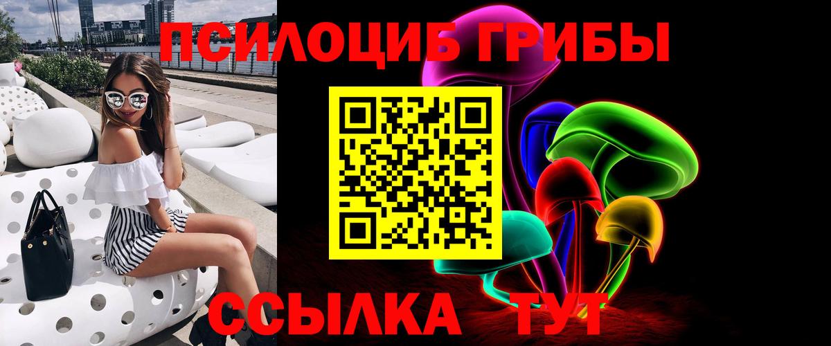 Новокубанск  Псилоцибиновые грибы мицелий  Вход с VPN  Галлюциногенные грибы Cubensis 